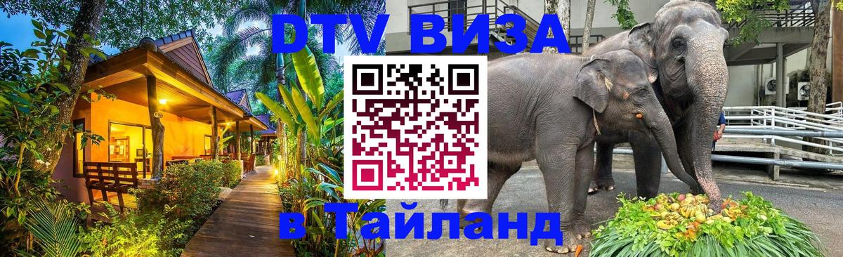 DTV (ДТВ) visa Таиланд 